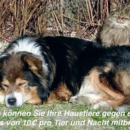 Appartementhaus Meridian * Sankt Peter-Ording